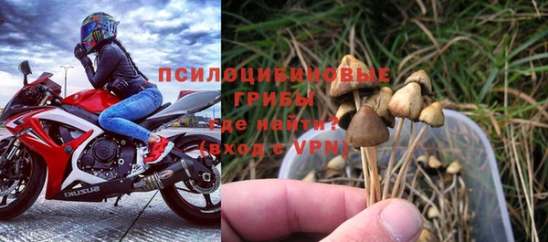 спиды Абинск
