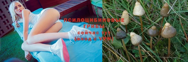 спиды Абинск