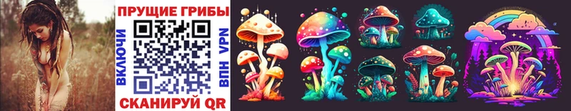 Галлюциногенные грибы MAGIC MUSHROOMS  Красноармейск 